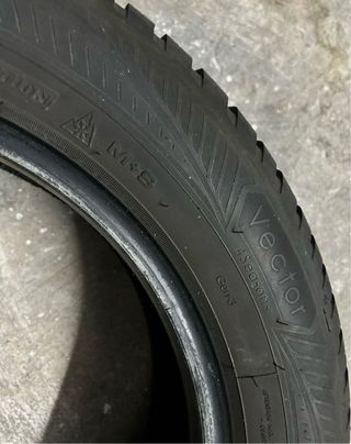 Pareja Neumáticos Goodyear 4 Seasons