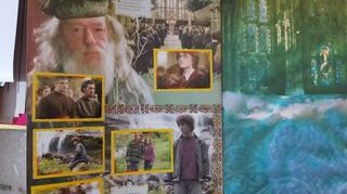 Album Harry Potter y el Caliz de Fuego