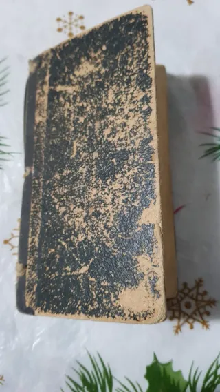 Antiguo libro año 1899  El Niño Amante de la Virge