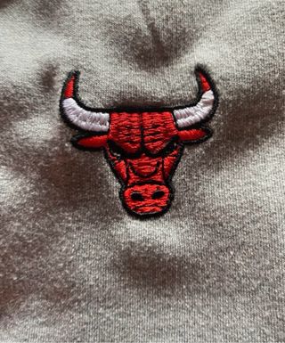 Sudadera Nike NBA Bulls Gris