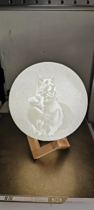 Luna personalizada con foto de mascotas