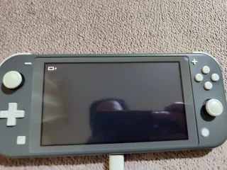 Nintendo Switch Lite Gris + Funda