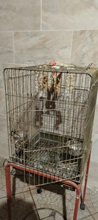 Jaula para loro grande