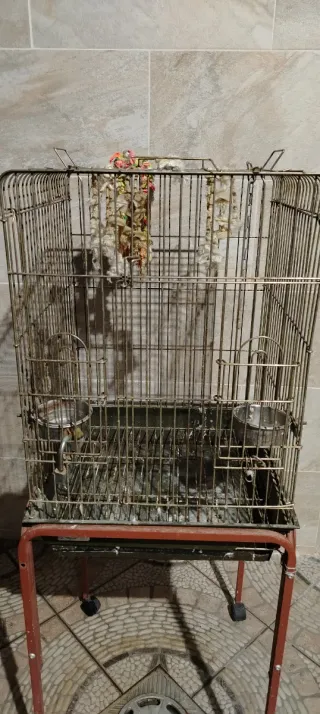 Jaula para loro grande