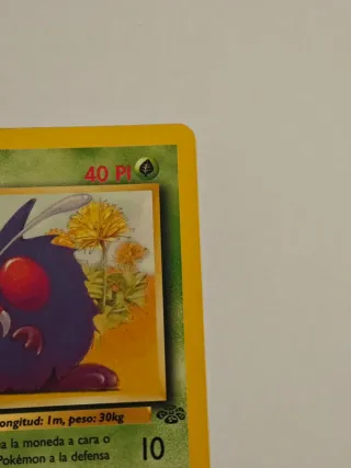 Carta TCG Pokémon Venonat Edición 1
