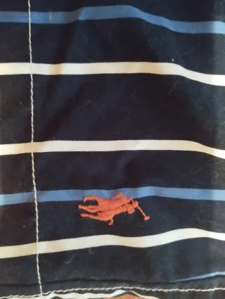 Bañador Polo Ralph Lauren Rayas Azul Blanco