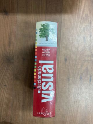 Diccionario Visual Multilingüe (Spanish Edition)