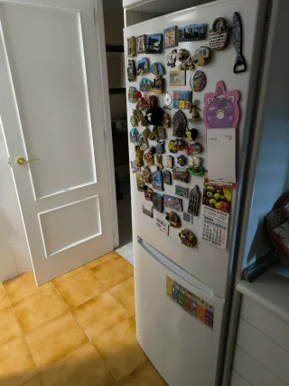 Nevera Balay 1,70m No Frost