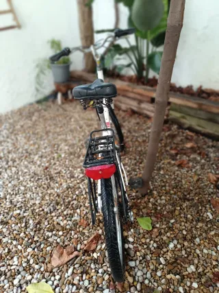 Bicicleta blanca Specialized