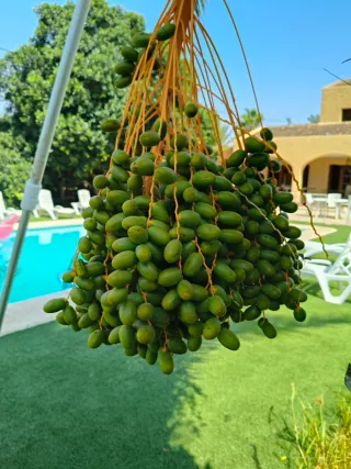 Finca Casa de Campo Vacacional Eventos