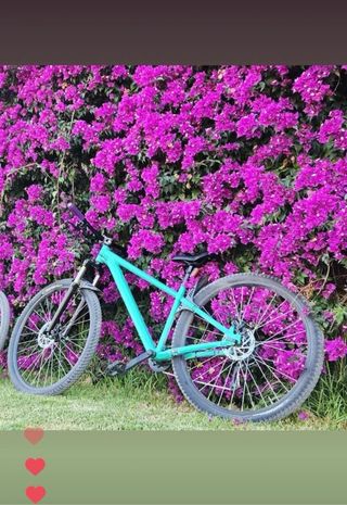 Bicicleta ROCKRIDER 29 Verde  Modificada