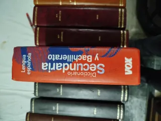 Diccionario de Secundaria y Bachillerato.