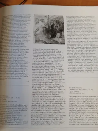 Pittura a Cremona dal Romanico al Settecento