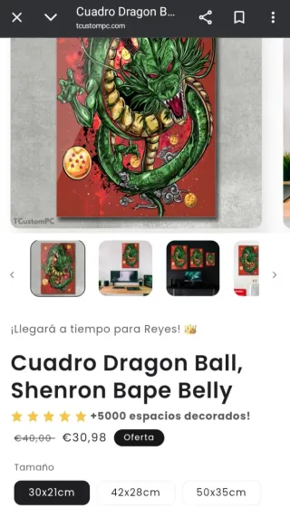 Cuadros Metacrilato Anime Tcustompc 21x30cm