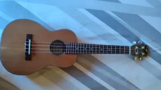 Ukelele Tenor Cedro y Sauce Último precio!