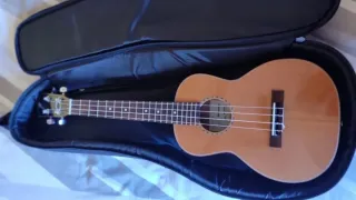 Ukelele Tenor Cedro y Sauce Último precio!