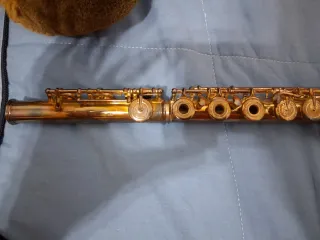 Flauta travesera transversal