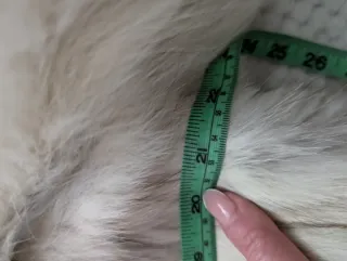 Abrigo Piel Zorro Ártico Beige/Blanco Talla M/L