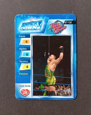 Rob Van Dam - WWE © 2004