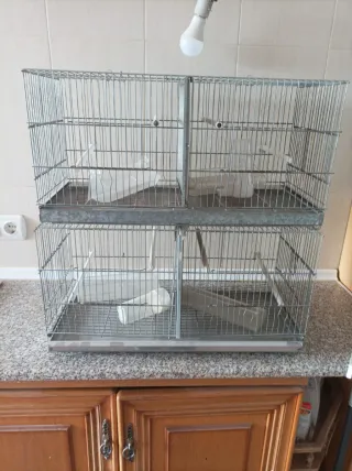 Jaula para pájaros de 60