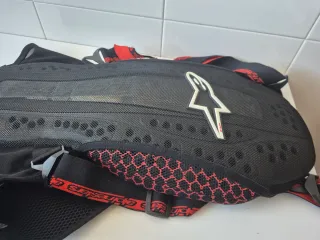 Espaldera Moto Alpinestars KR-2