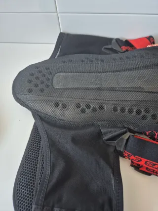 Espaldera Moto Alpinestars KR-2