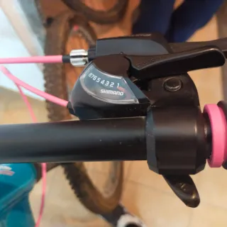 Bicicleta Wolfbike Diva Azul