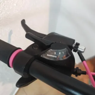 Bicicleta Wolfbike Diva Azul