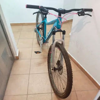 Bicicleta Wolfbike Diva Azul