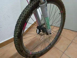 Bicicleta Wolfbike Diva Azul