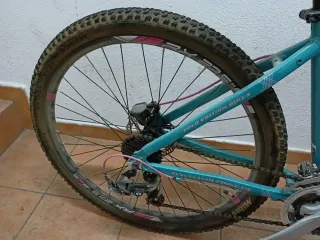 Bicicleta Wolfbike Diva Azul