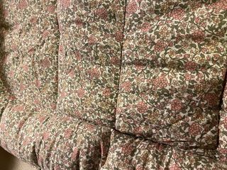 Nido reductor bebé Molis&Co