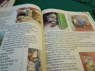 Mi libro de cuentos más bonito