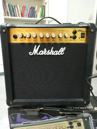 Fender stratocaster con maleta rígida,