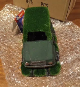 Adorno coche acuario con musgo