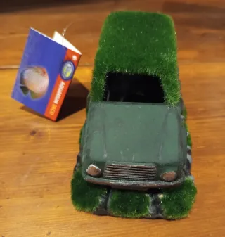 Adorno coche acuario con musgo