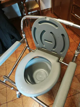 Silla WC con ruedas y reposabrazos