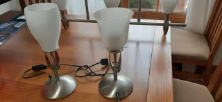 Lámpara de techo. Regalo 5 tulipas  y 2 lámparitas