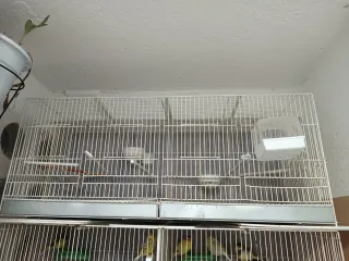 Jaulas canarios, como nuevas, M y H