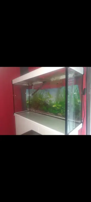 Acuario 300L