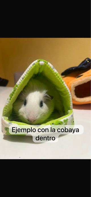 Camas para cobaya