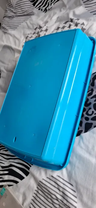 Box sabbia per gatti