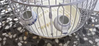 Jaula Redonda Beige y Blanca