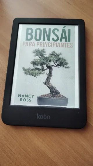 E-reader Kobo Clara Colour