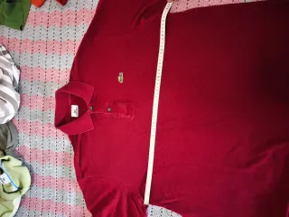 Polo Lacoste mangas largas