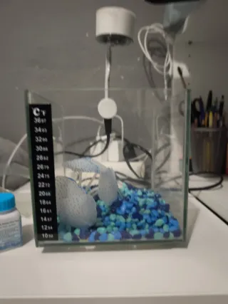 Pecera pequeña 3.5 l Acuario