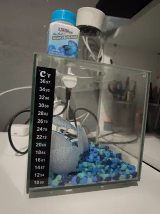 Pecera pequeña 3.5 l Acuario