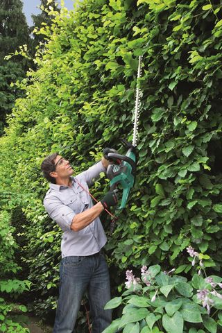 Cortasetos Bosch AHS 70-34