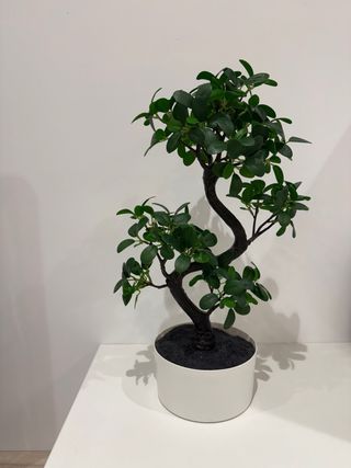 Planta bonsái artificial 16cm