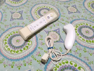 Nintendo Wii Blanca Completa